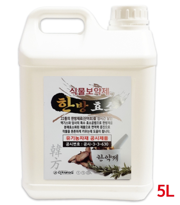 한방효소 5L 